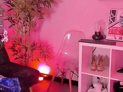 Ayne_soft_ webcam