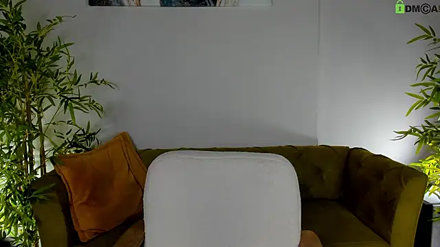 Stacy_River webcam