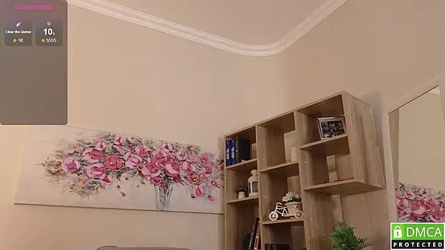 Sue_Sanders webcam