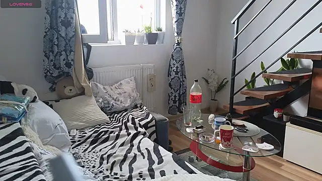 RyanStorm_ webcam