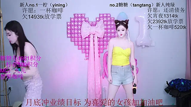 CCTW-100 webcam
