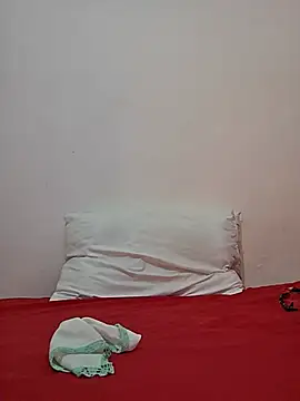 altinya webcam
