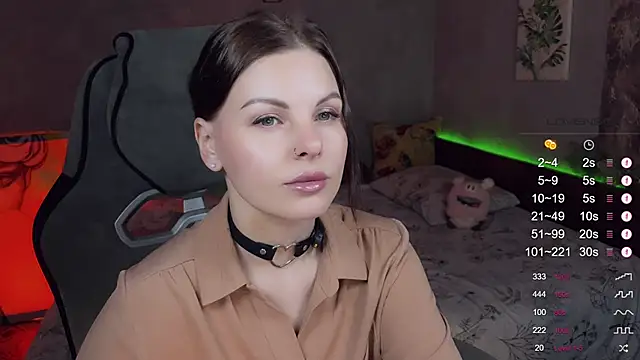 Alaska_ya webcam