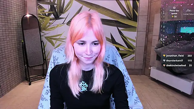 fleximona webcam