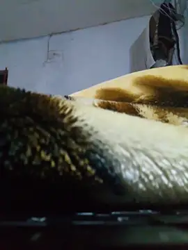 cobrosdepagos webcam
