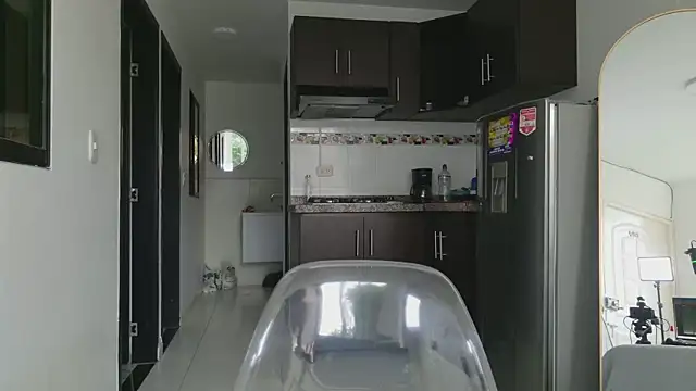 grey___27 webcam