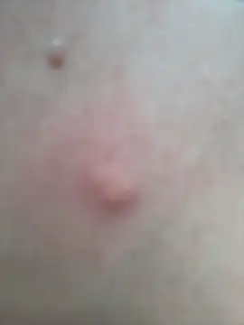 roxyrougee webcam