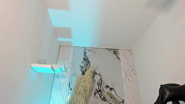 TaylorClay_ webcam