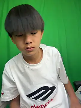 DD-101 webcam