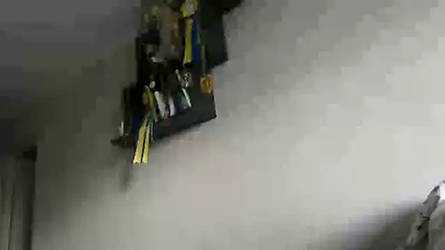delightful_sofi webcam