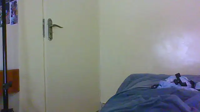 cahnny webcam