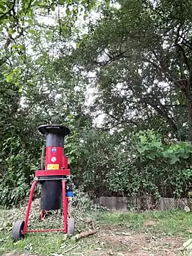 Viola_Beck webcam
