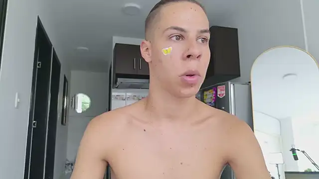 grey___27 webcam