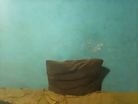 little__joy webcam