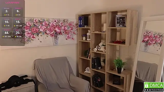 Sue_Sanders webcam