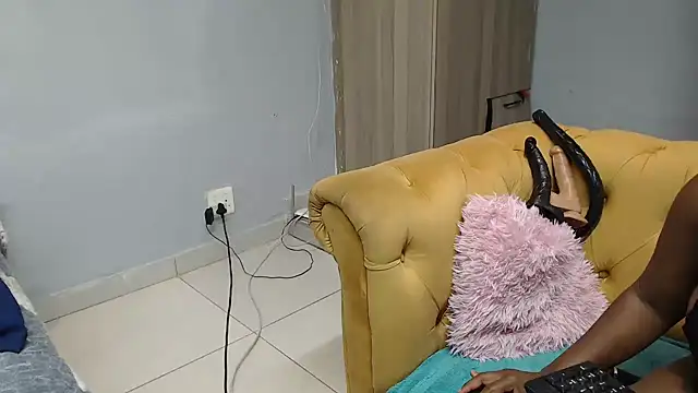 BlackDiamondX21X webcam