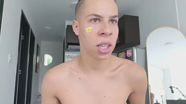 grey___27 webcam