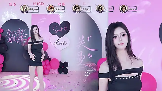 TY-002 webcam