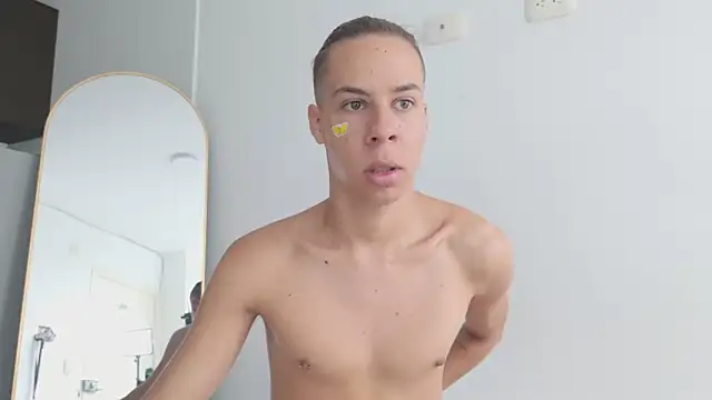 grey___27 webcam