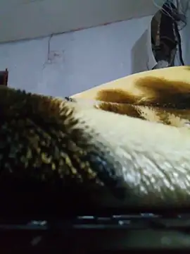 cobrosdepagos webcam