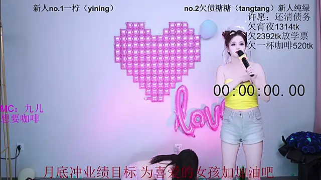 CCTW-100 webcam