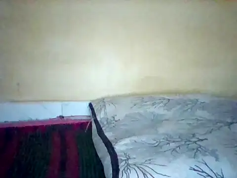 Africangal webcam