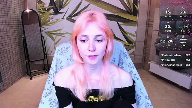 fleximona webcam
