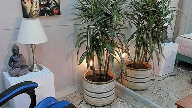 kai_storn webcam