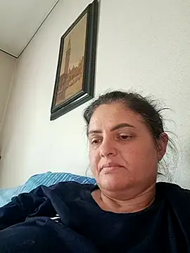 Sony28v webcam