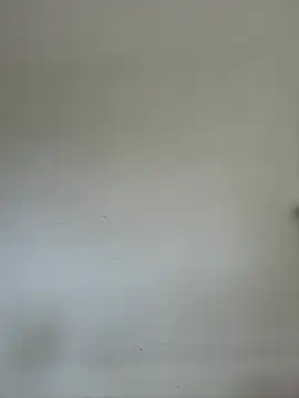 Lalla_Amani webcam