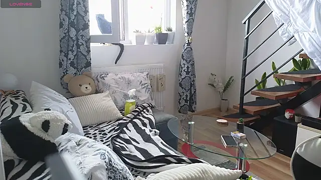 RyanStorm_ webcam