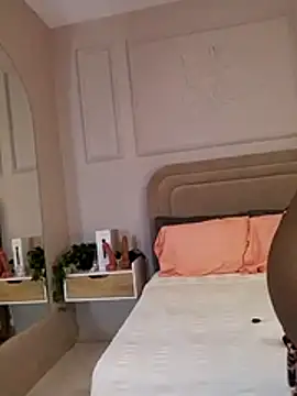 Liastarkk webcam