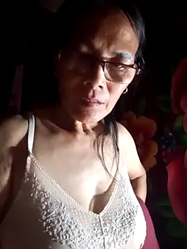 toyo_668 webcam