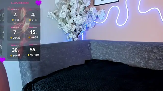 karo_linee1 webcam