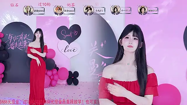 TY-002 webcam