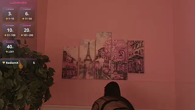 Inari_Okami_ webcam