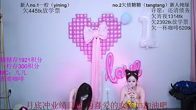 CCTW-100 webcam