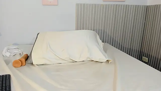 lysbani webcam