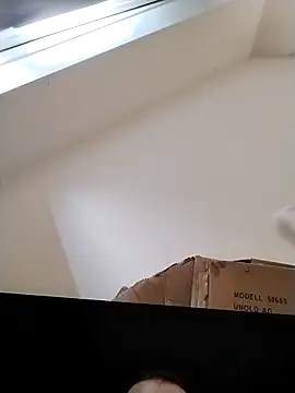 tijgerwoods webcam