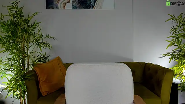 Stacy_River webcam