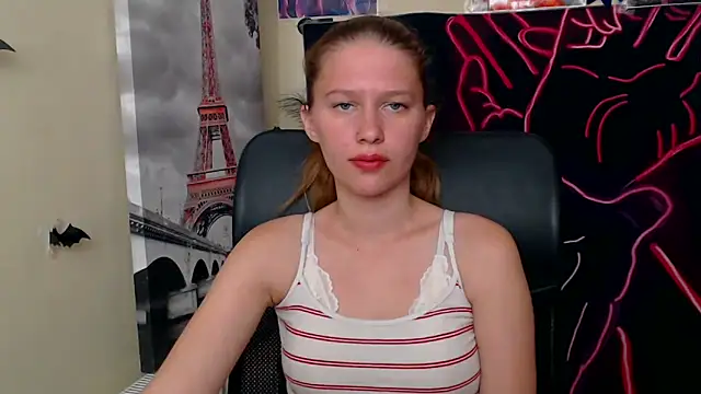 StellaCRL webcam