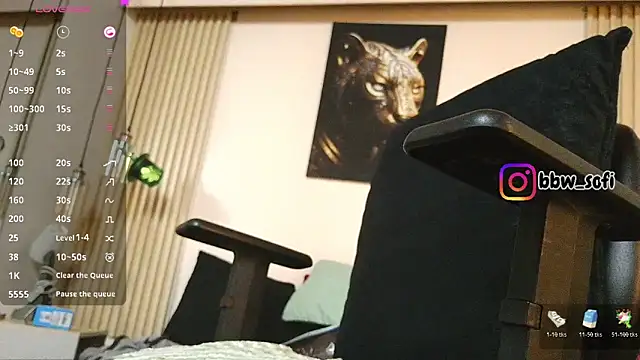 virtual_charm webcam