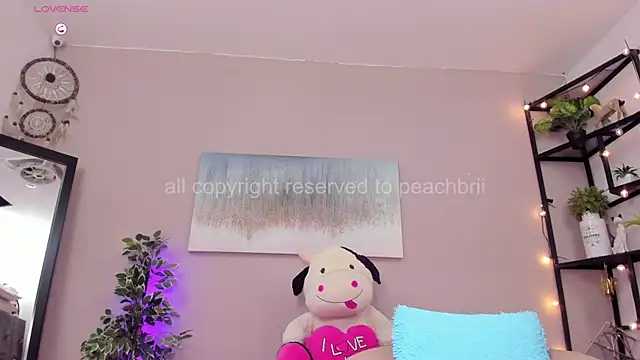 PechBri webcam