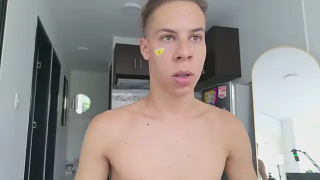 grey___27 webcam