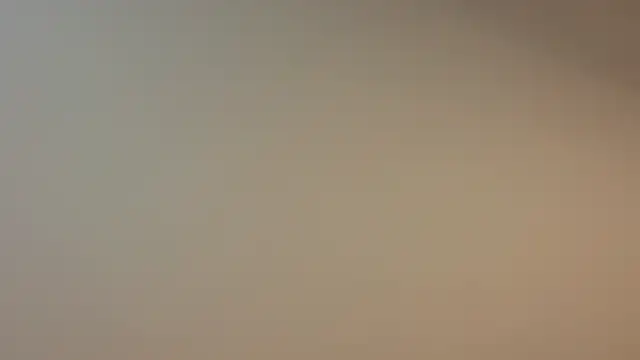 okerriella webcam