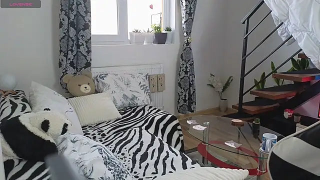 RyanStorm_ webcam