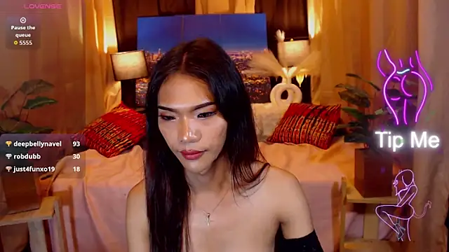 MsEpitome webcam