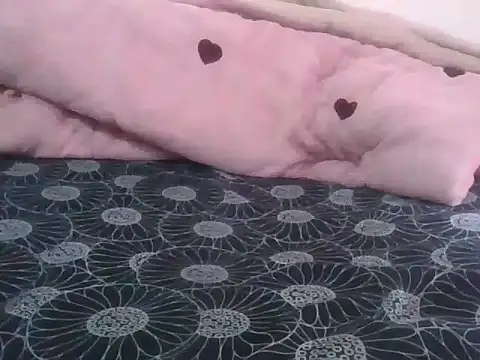 hilsoother webcam
