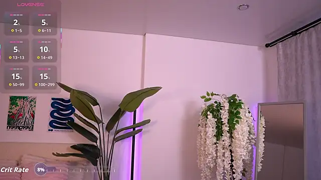 NaomiSoft webcam