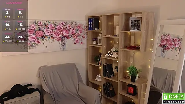 Sue_Sanders webcam